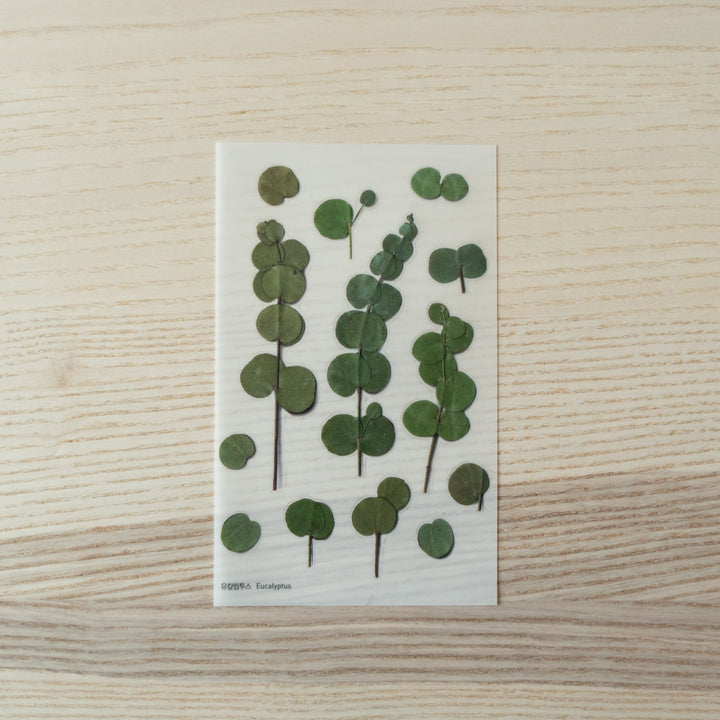 Appree Pressed Flower Stickers