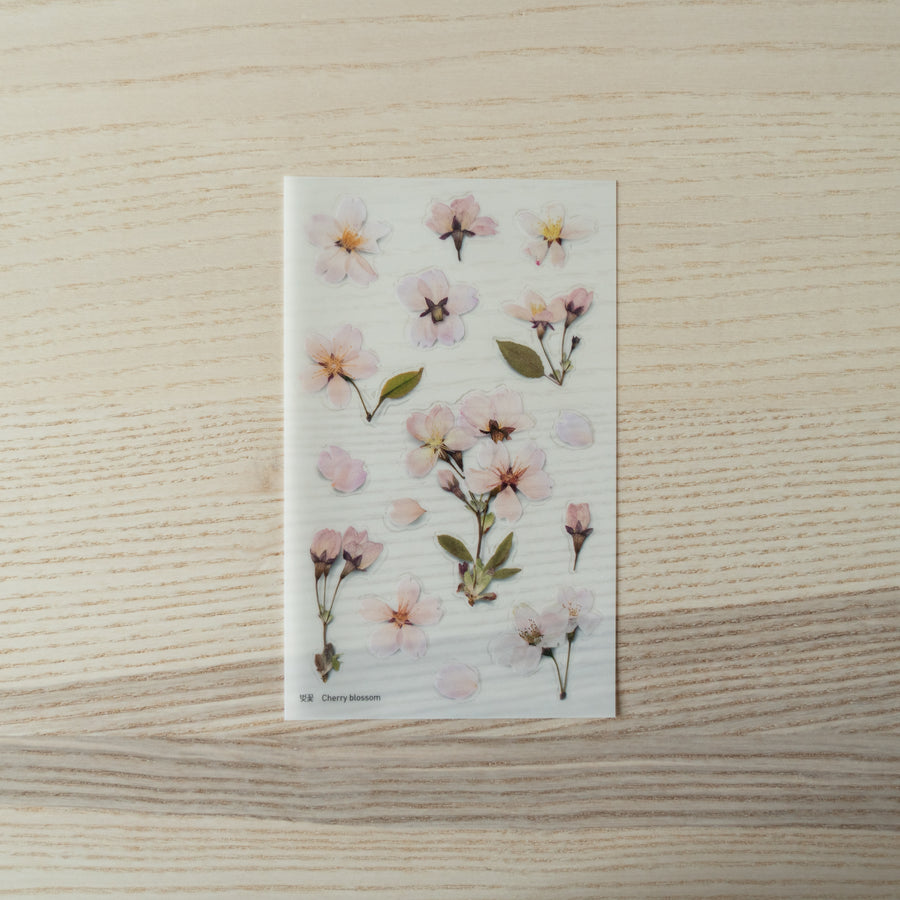 Appree Pressed Flower Stickers Cherry Blossom