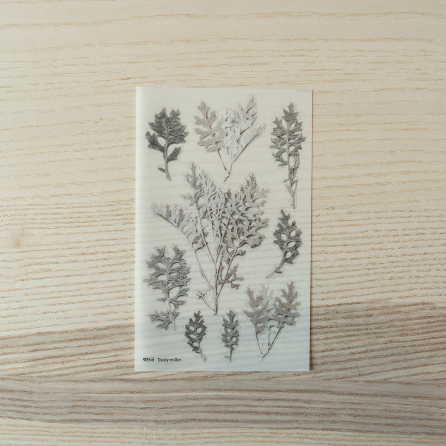 Pressed Flower Transparent Sticker - Manchurian Violet